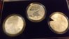 2006 Ann Set.jpg