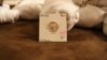 DSC01459.jpg