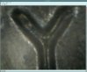 0008 1c 1983 doubledied obv.jpg