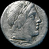 C. GARGONIUS OBV.jpg