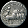 C. GARGONIUS REV.jpg