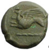 griffin & horse a.jpg