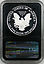 Reverse 1994 P.JPG