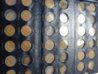 DSC01613.jpg