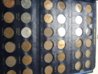 DSC01614.jpg