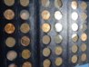 DSC01615.jpg