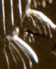 Accented Kennedy 4.jpg