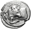 MACEDON AKANTHOS a.jpg