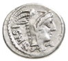 L Thorius a.jpg