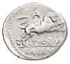L Thorius b.jpg