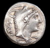 L Thorius c.jpg