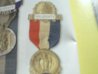 1913 delagate pinShow Detetoc.jpg