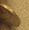 IMG_1522.jpg
