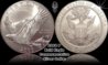 2008P Eagle-horz.jpg