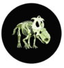 glow dark 1b.jpg