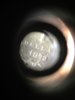 1873 dollar(resized).JPG
