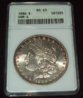 anacs.JPG