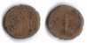 augustus-cohor-prae-phillipi.jpg