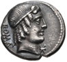 M caecilius a.jpg