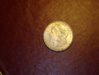 DSC01310.jpg