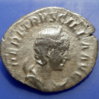 Herennia_Etruscilla1_OBV_opt.jpg