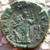 Salonina3_REV.jpg