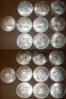 Sunshine_Silver_eagles.jpg