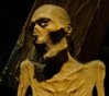mummy.jpg