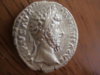L.Verus 009.JPG