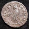 Maximianus6_REV.jpg