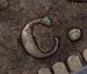 1813O101pup.jpg