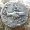 Nerva5_REV.jpg
