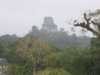 Tikal's Temple IV.jpg