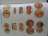 20130306_134551.jpg