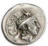 L marcius a.jpg