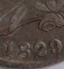 1829over7pup1.jpg