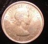 Canada1962doubleddenticles 002.JPG