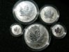DSCN4804.jpg