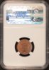 1903 Indian Head Cent Slab 1 - Reverse copy.jpg