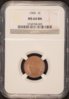 1904 Indian Head Cent Slab 1 - Obverse copy.jpg