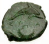 dolphin & scallop b.jpg