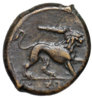 syracuse lion b.jpg