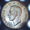 194711.jpg