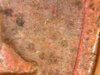 69nofgcloseup.jpg