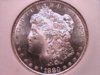 1880 s morgan dollar 1.jpg