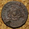 1722RosaAmericanaR.jpg