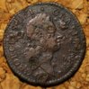 1722RosaAmericana.jpg