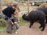 Peru holiday 2009 228.jpg