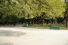Copy of IMG_5021.jpg