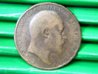 penny2.jpg